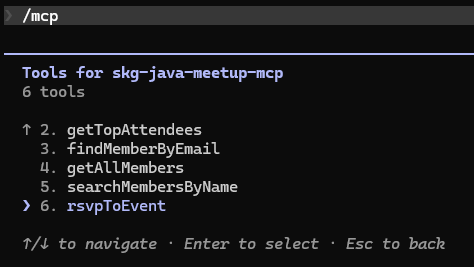 MCP tool detail